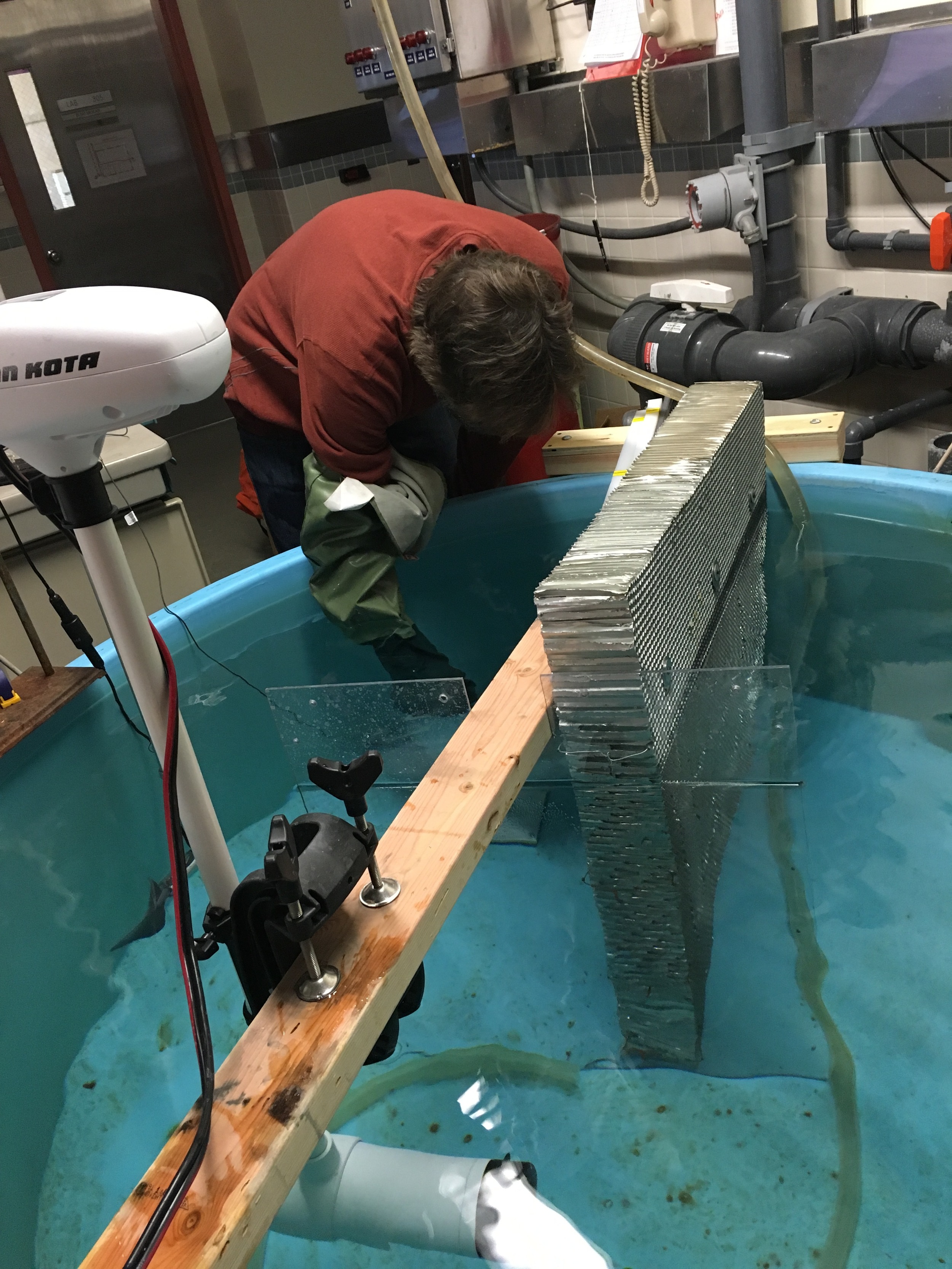  Bret testing a sea spider's ability to hang on in flow in a large circular tank that's been modified to work as a flume. 