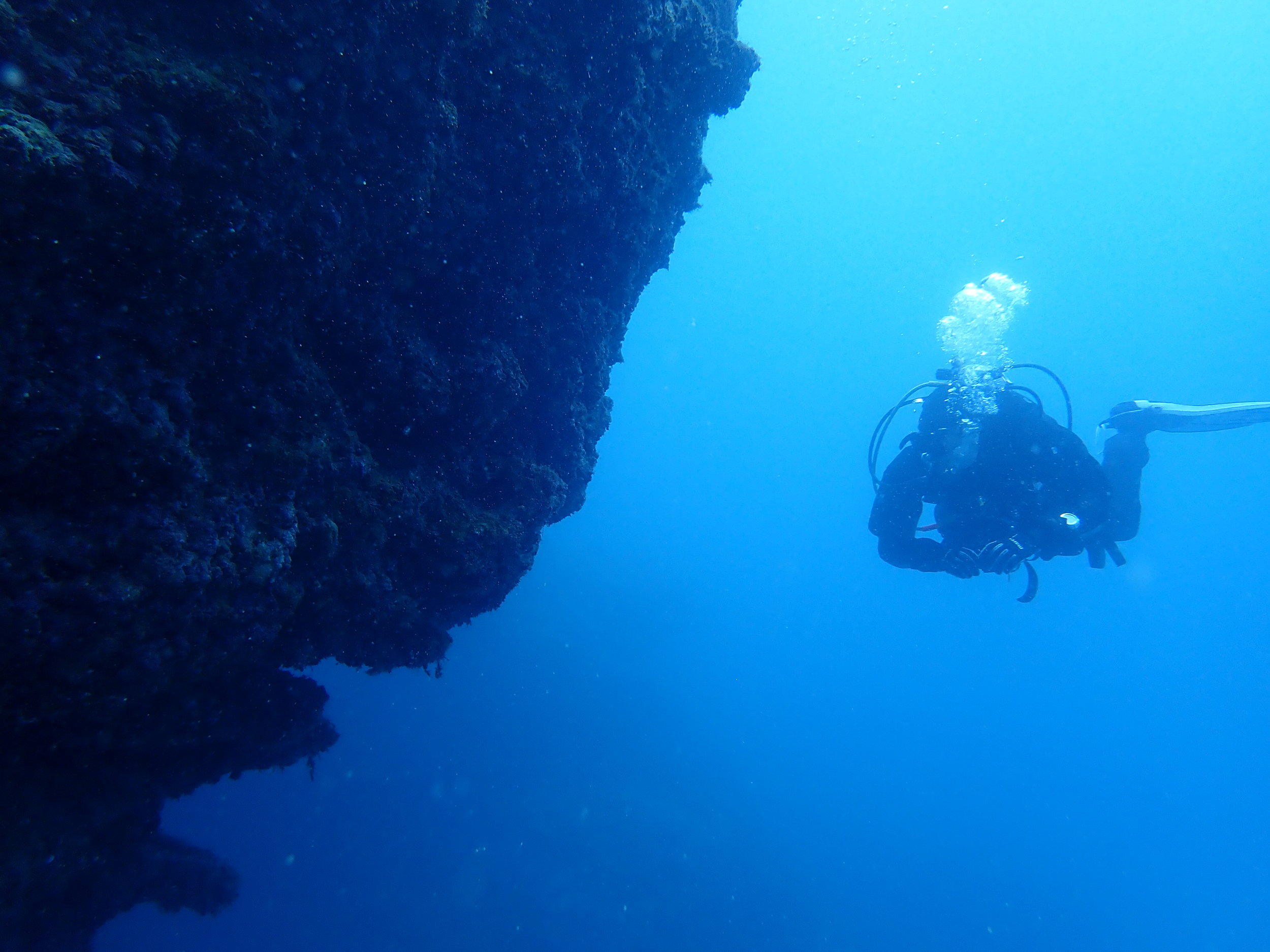  The ~60 foot wall of the Haleiwa Trench is great for refining our drysuit buoyancy skills. 