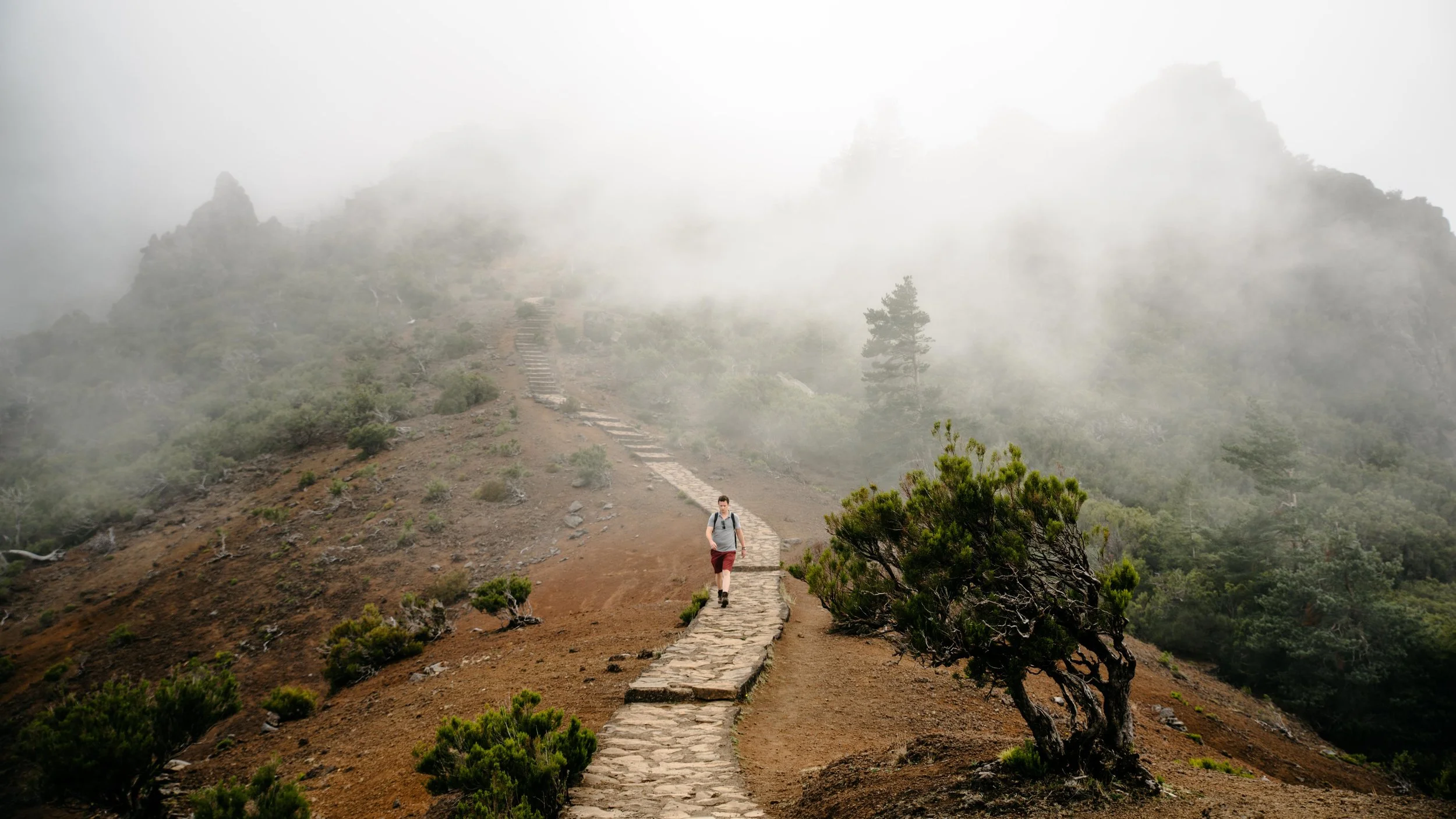 madeira-29.jpg