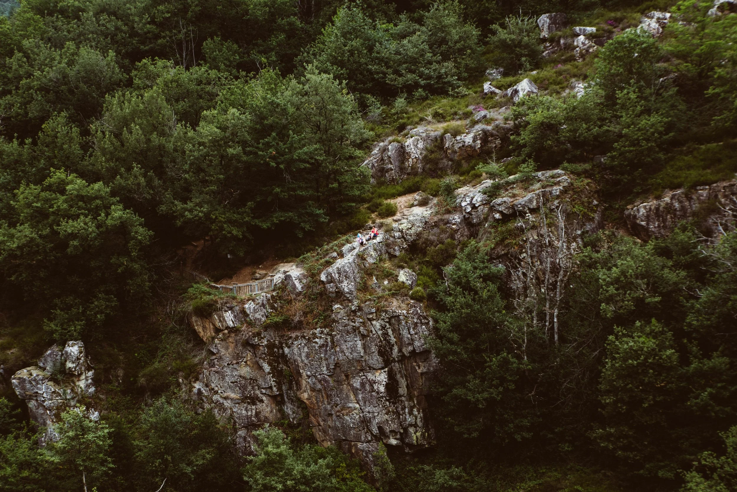 TARNXBuchowski-HD-36.jpg