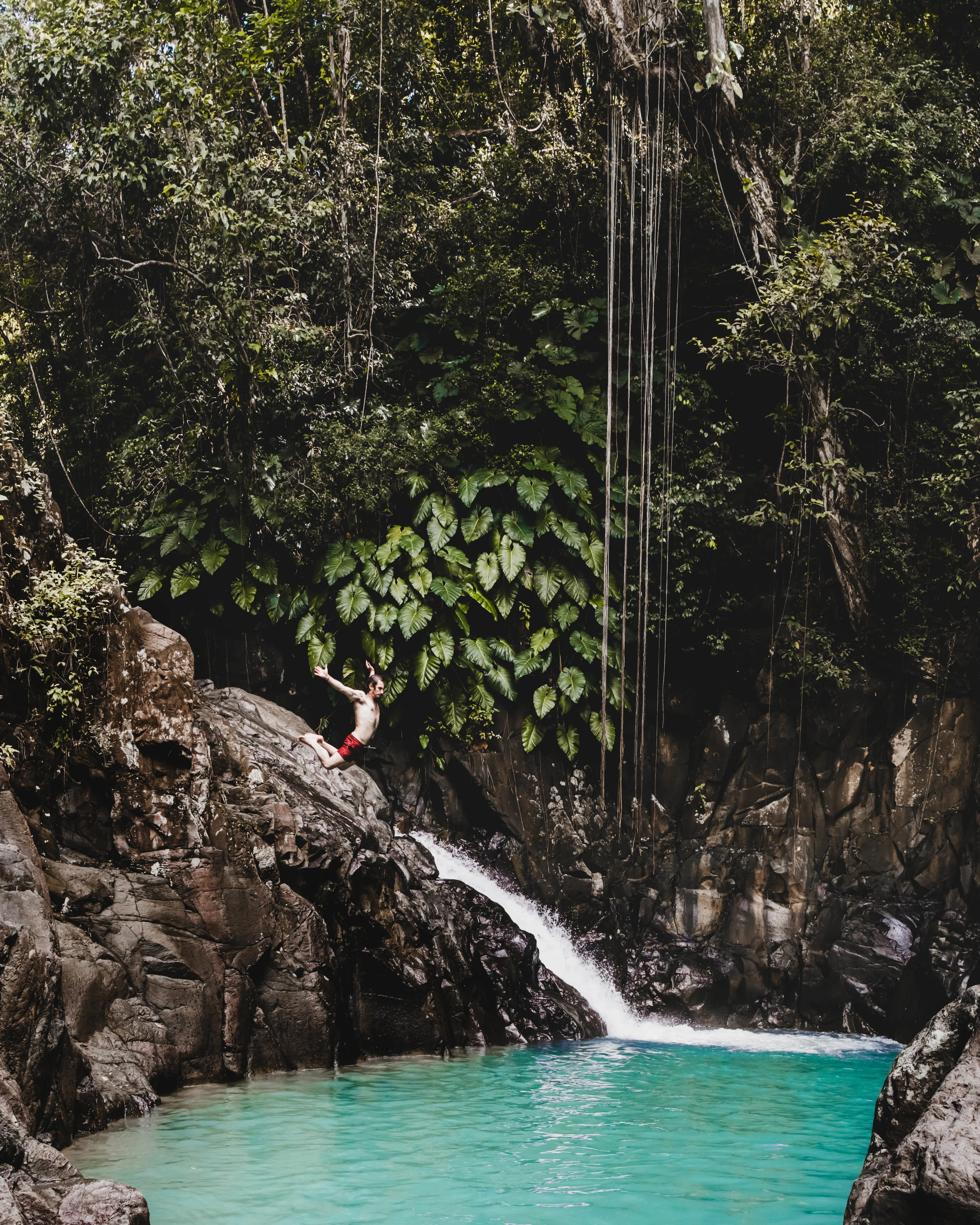 Guadeloupe-Buchowski-66.jpg