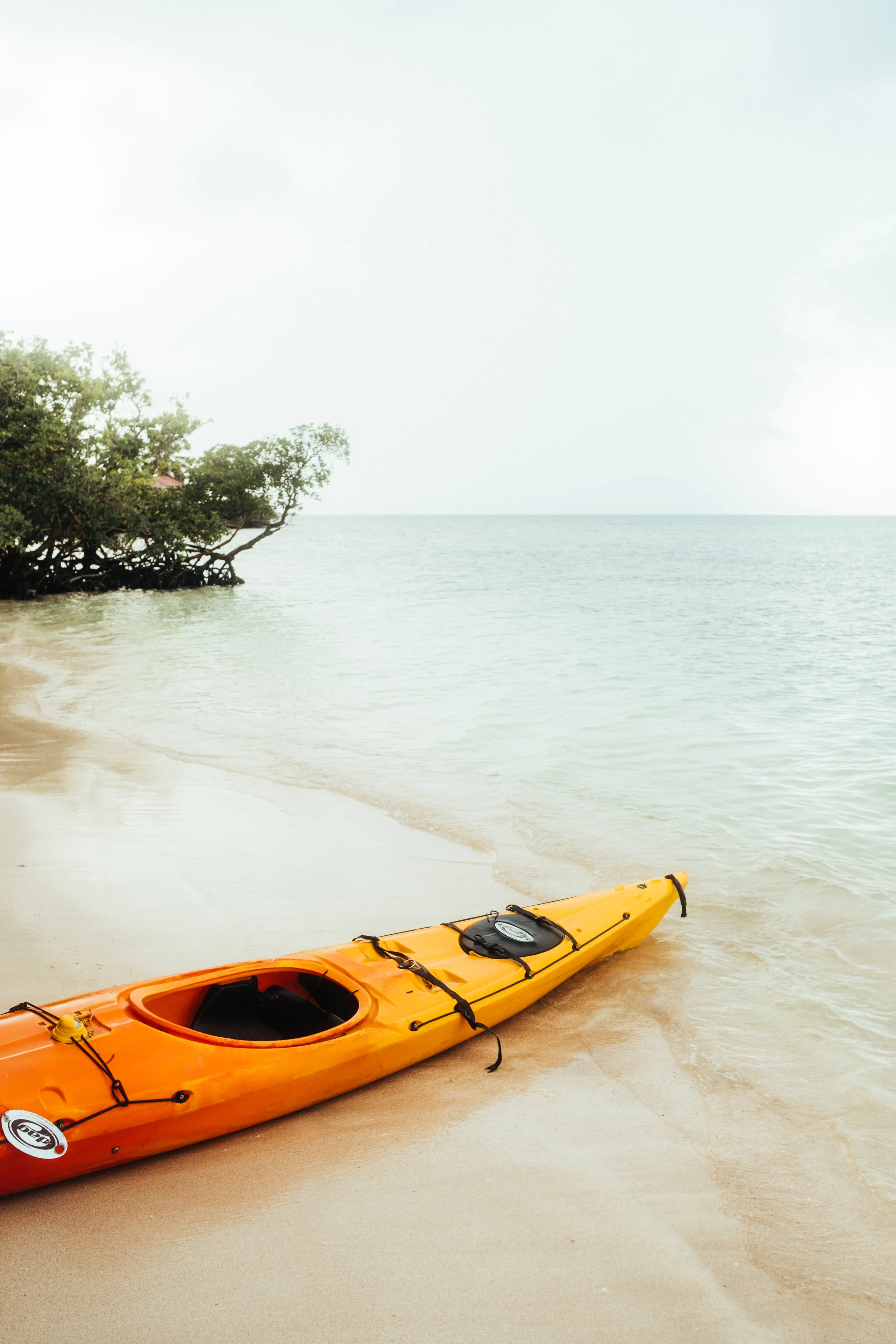 Guadeloupe-Buchowski-8.jpg