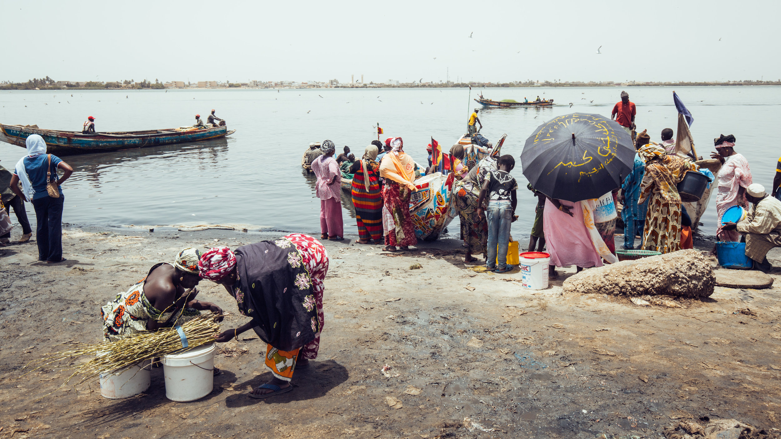 Senegal-16-9-33.jpg