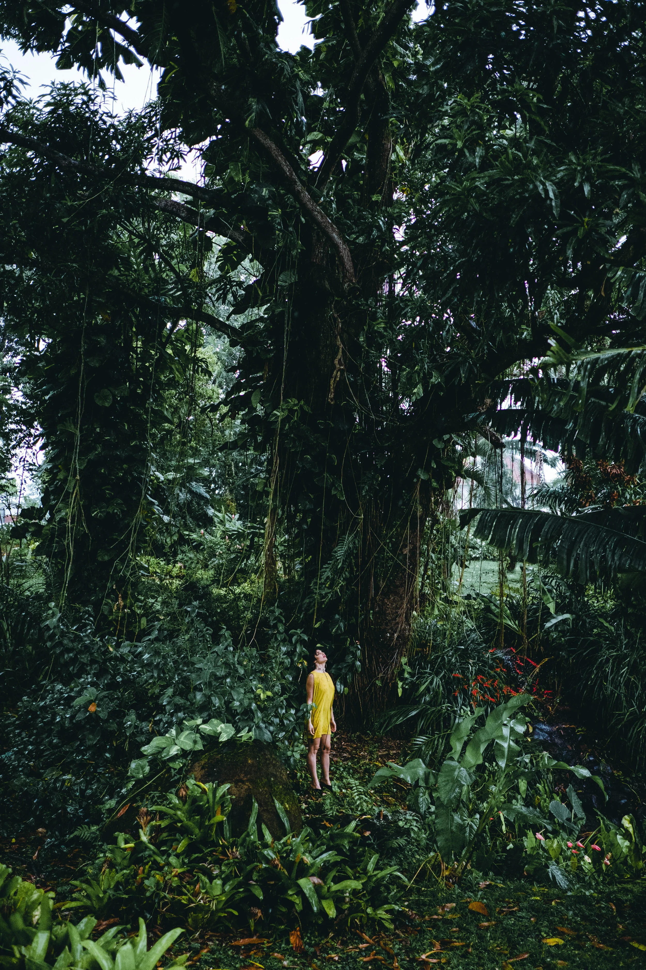 Guadeloupe-Buchowski-11.jpg