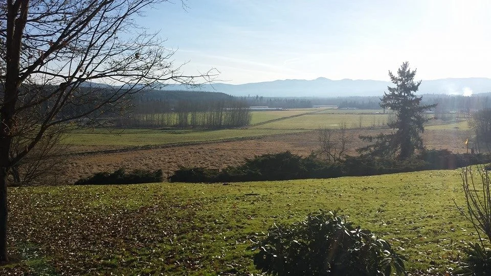 When I am away from home, this is the view that I miss the most. Wilcox Family Farms has been owned my family for over 110 years, and is where all of our timber comes from. Our sawmill is also located on the farm, so we have a fantastic view while we work.