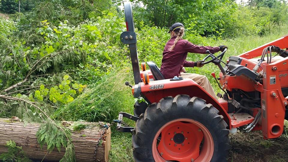   The ground the tractor was on ended up getting pretty torn up, and maneuvering the tractor became tricky at the end. My favorite part was when we were dragging out the last log. The way it was positioned meant that it could only be dragged out in a