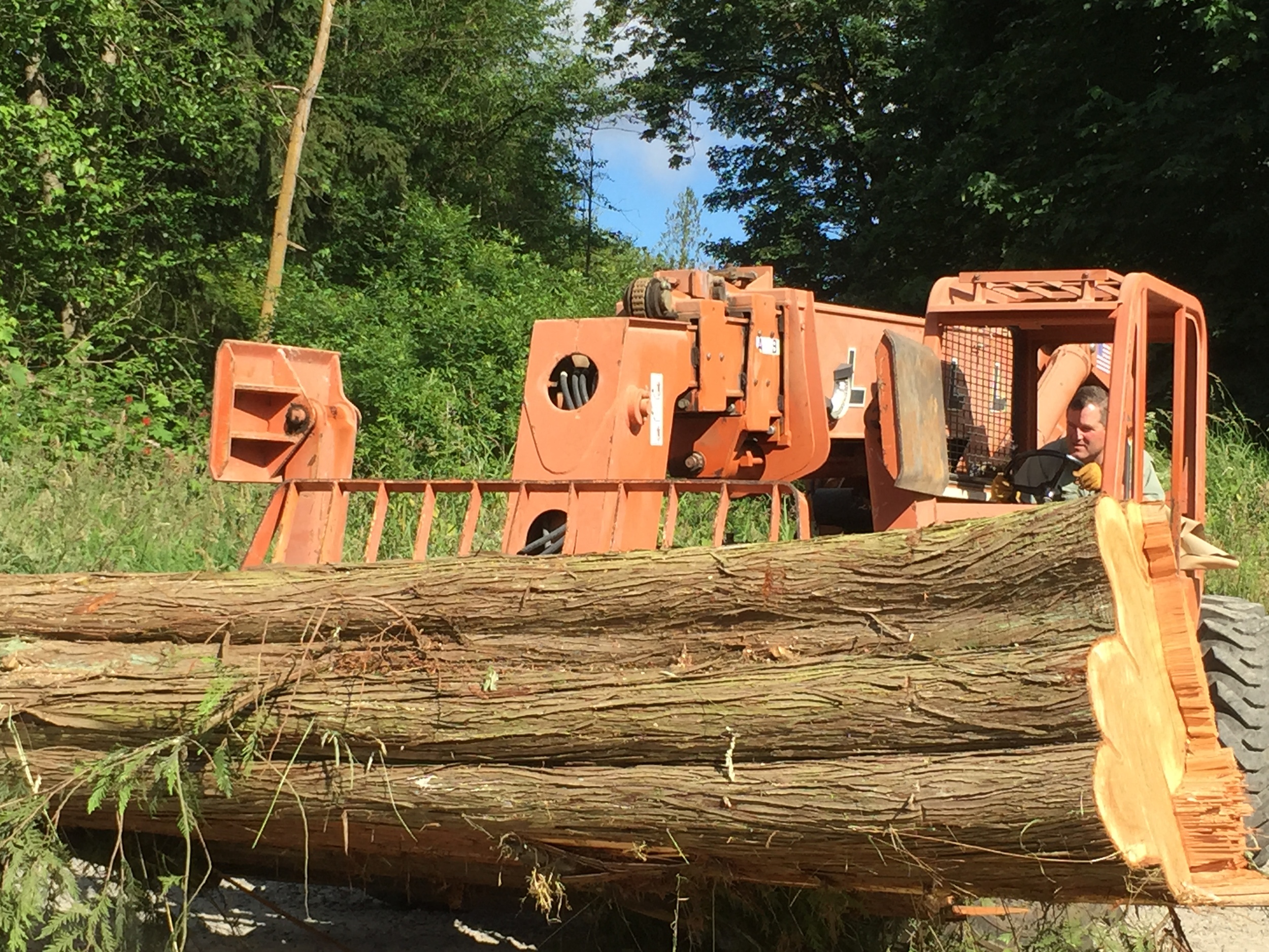   Here is my dad operating the fork lift, moving the cedar logs to the mill after we had dragged them out with the tractor. One thing I've learned about the Wilcoxs on the farm is that they can operate any kind of machinery, no matter how old or new.
