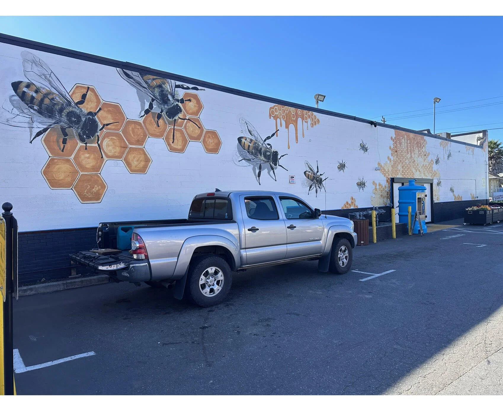 D'la Colmena Market street front wall mural 100'+ 2025