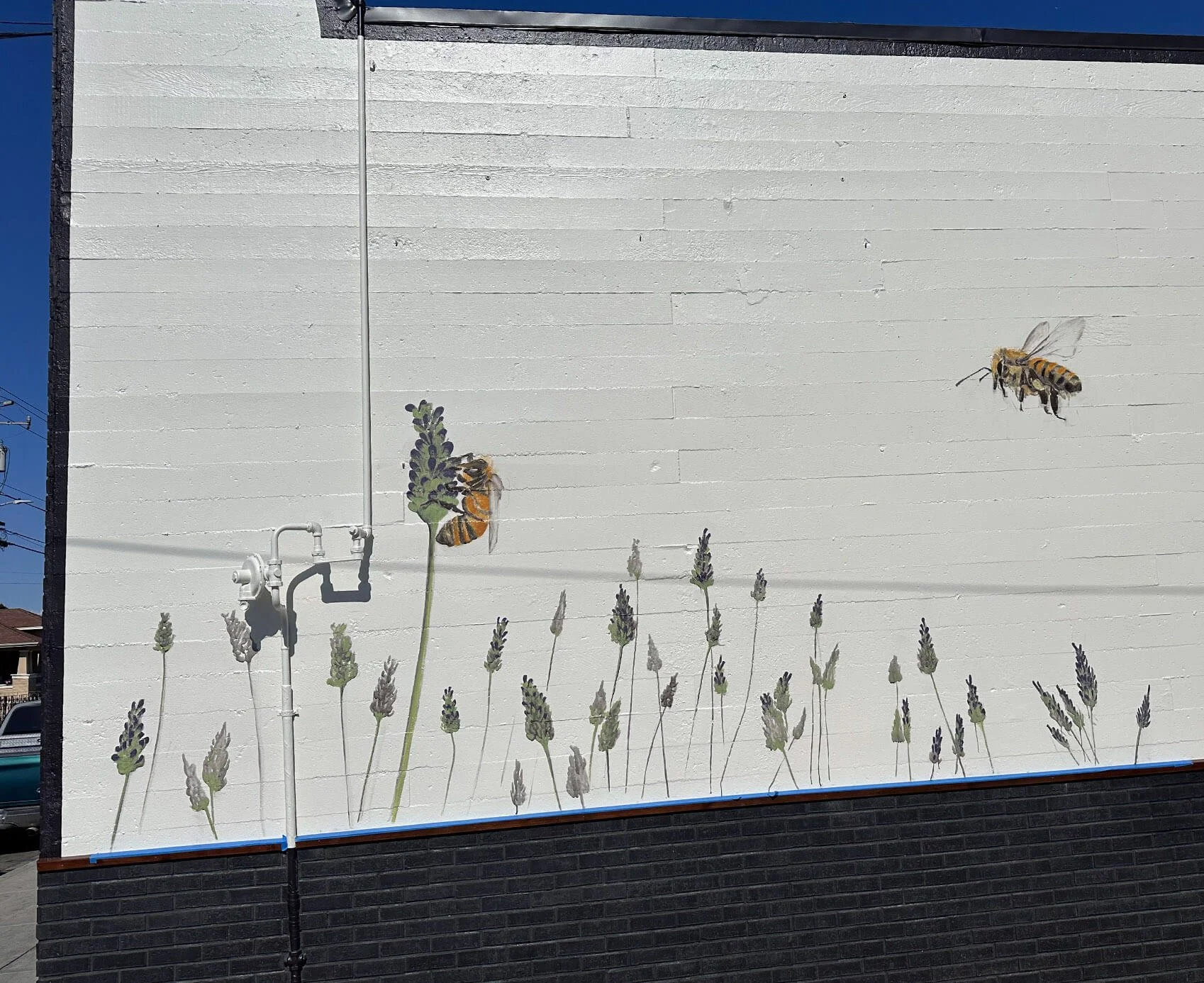 D'la Colmena Market street back wall mural 2025