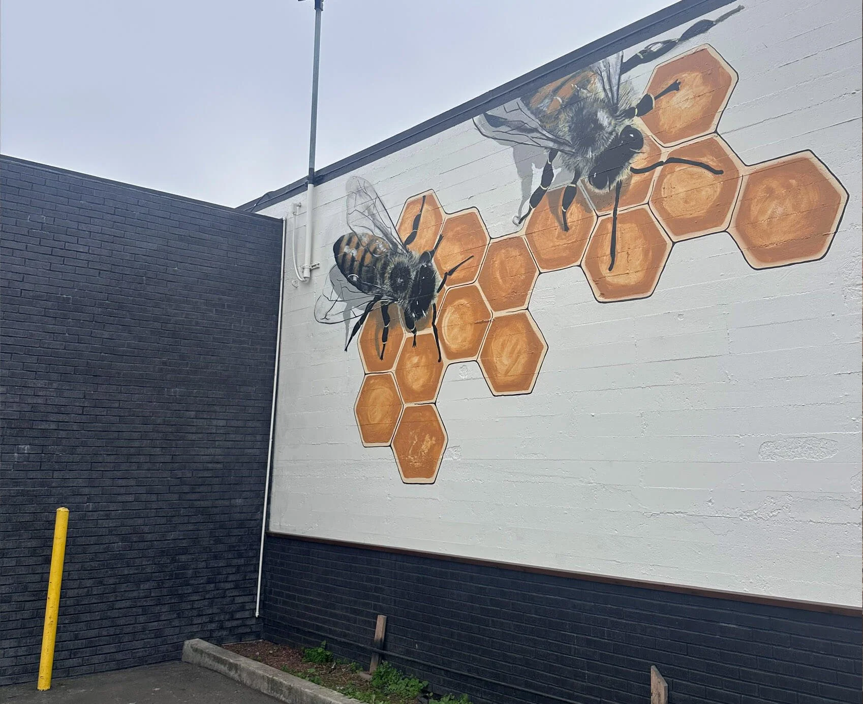 D'la Colmena Market large bees 2025