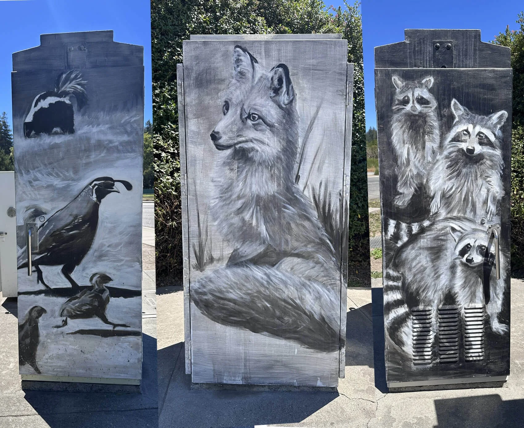 Graphic Traffic Box, Mt. Hermon & Graham Hill Rd, Felton, CA (2012)
