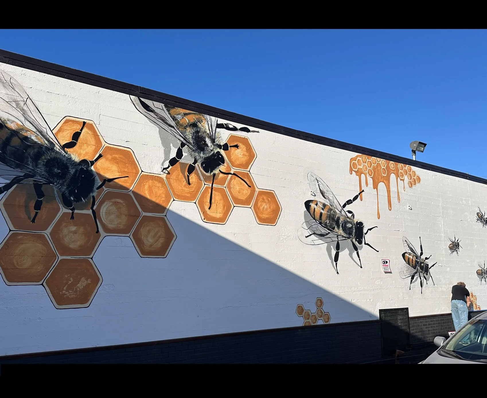 homepage_012 bees.jpg