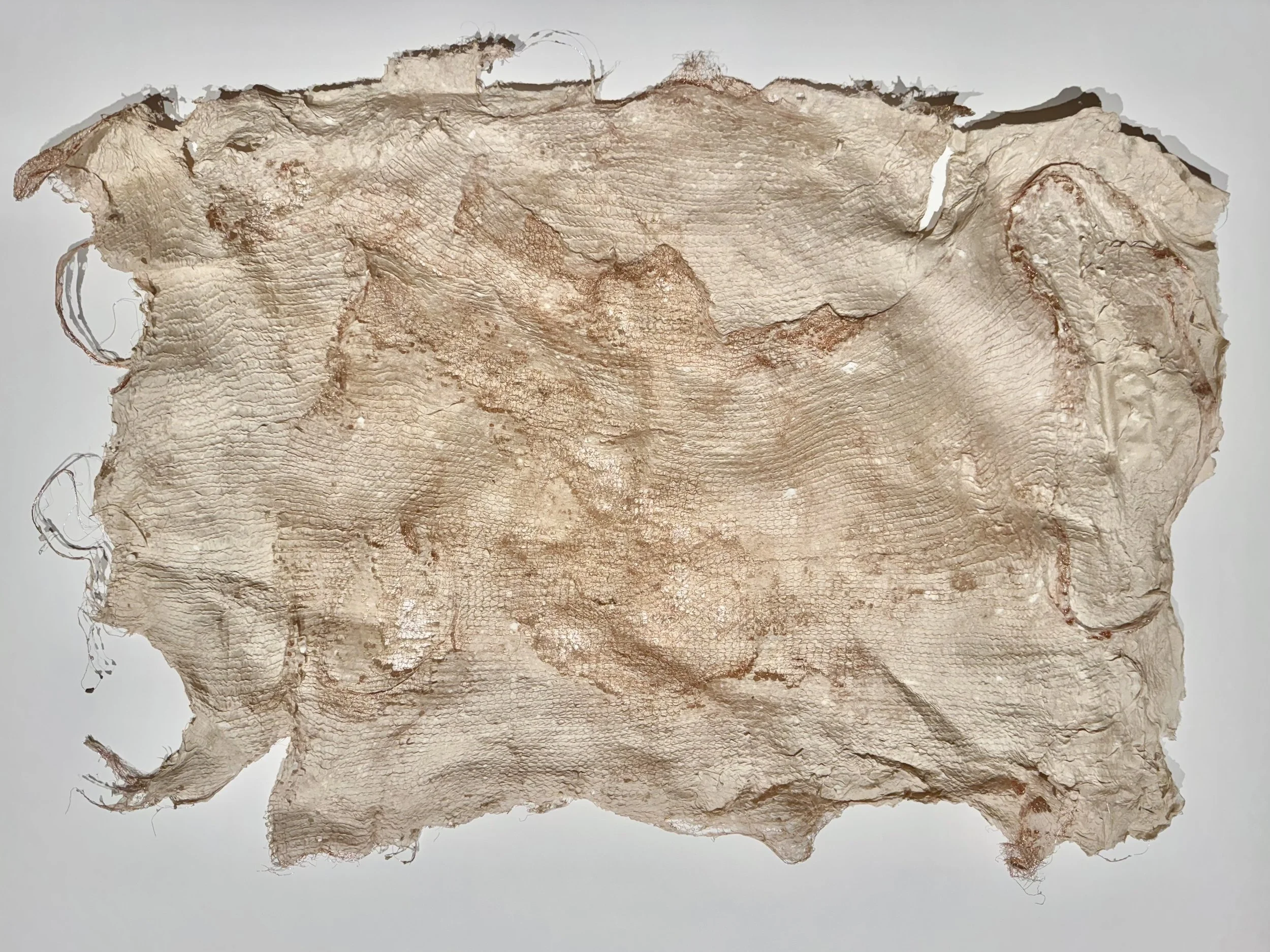 Laser_3.5 HR abaca with copper mesh_20x20in.jpg