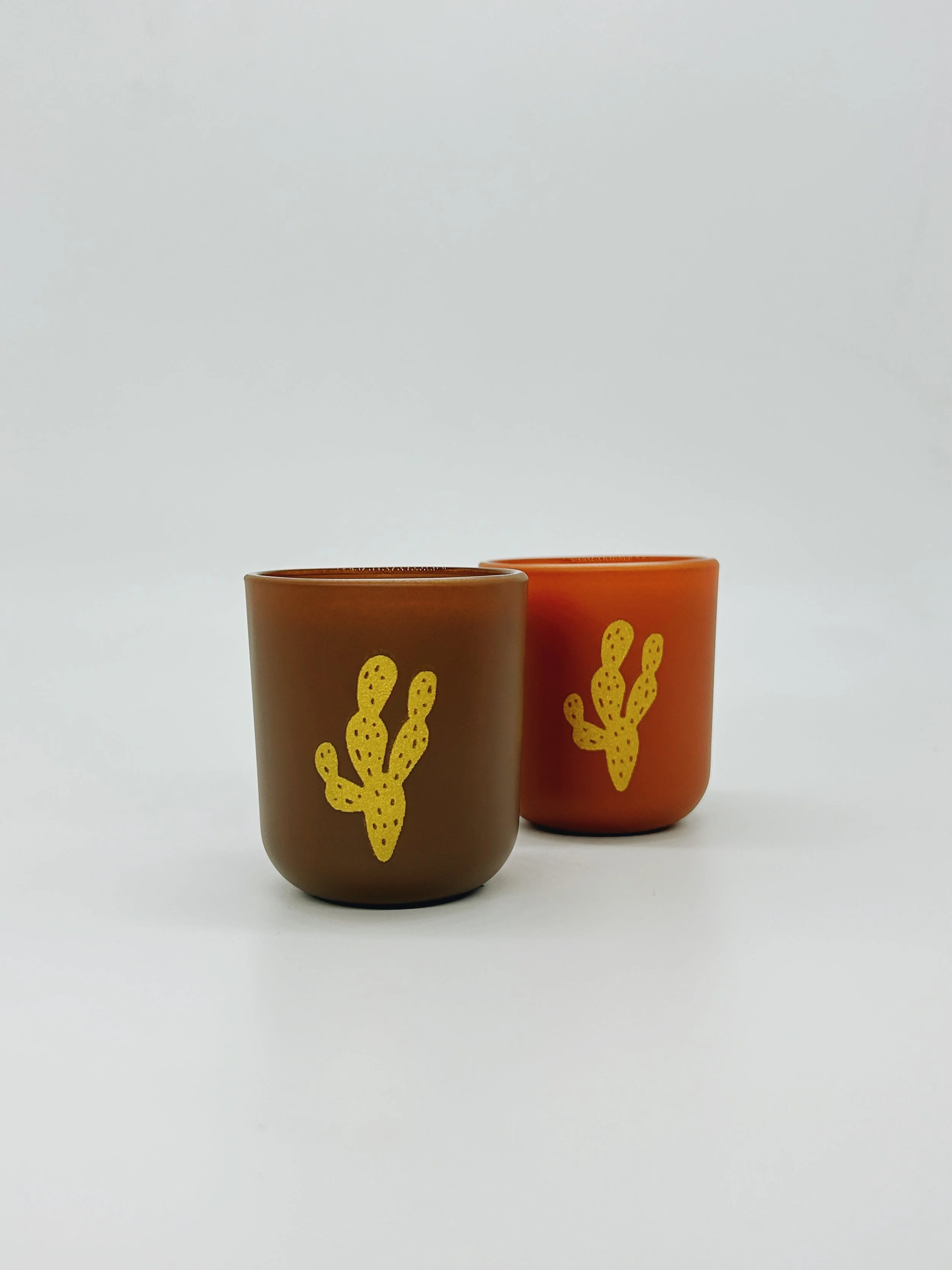 3 cactus 6.jpg