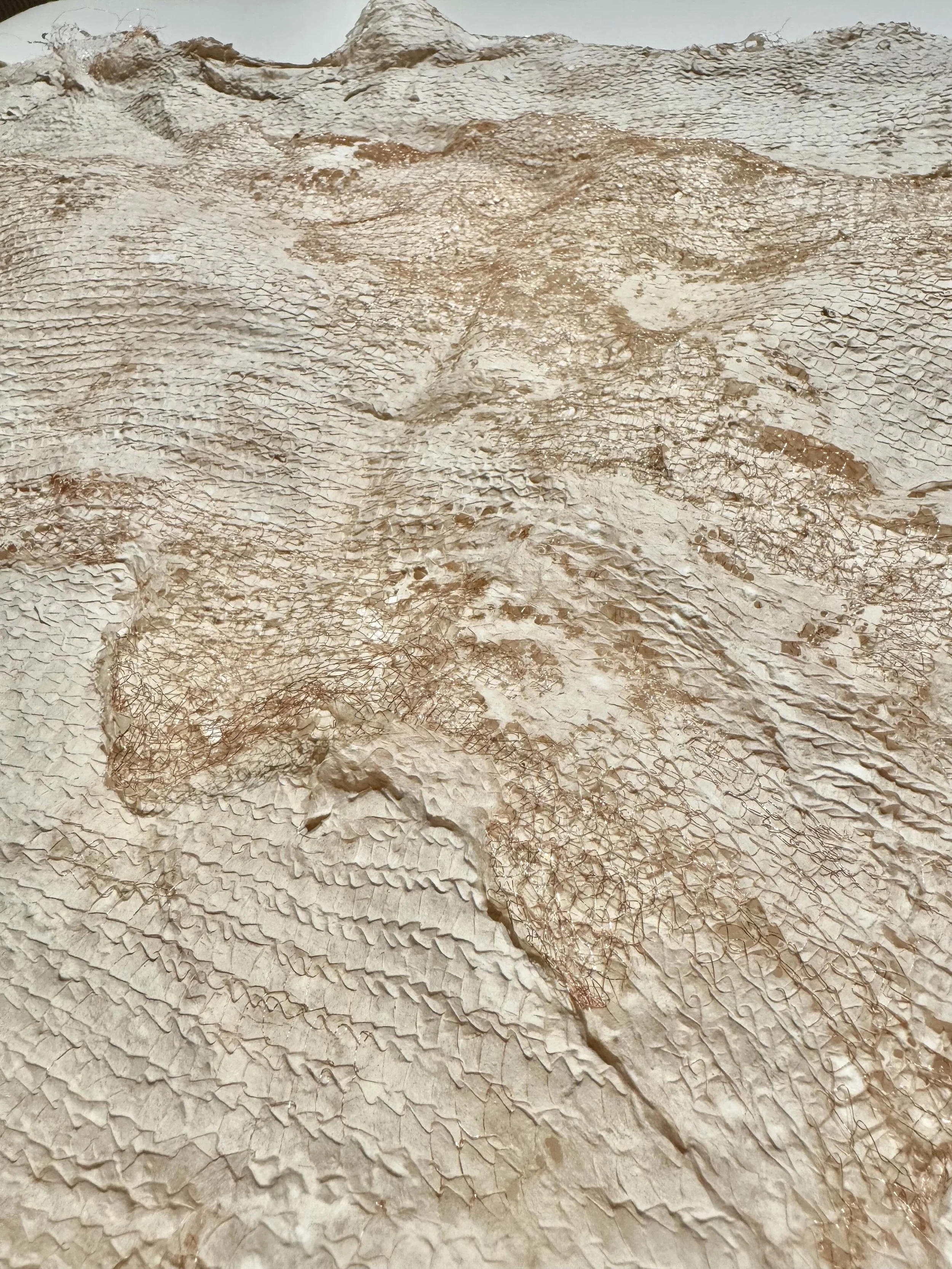 Laser_3.5 HR abaca with copper mesh_20x20in (2).jpg