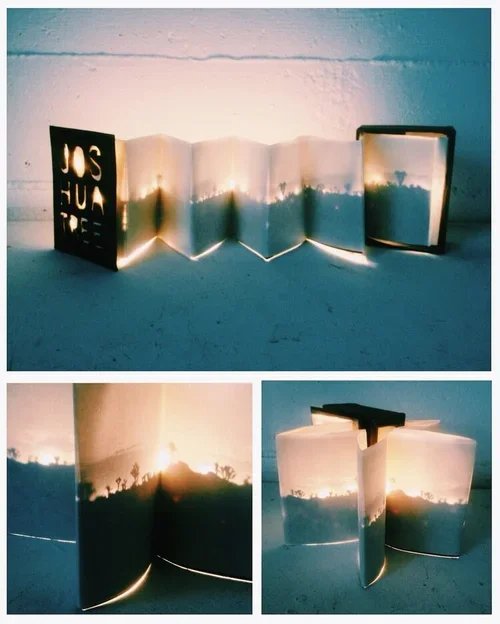 Rika+Laser+Joshua+Tree+artists+book.jpg.webp