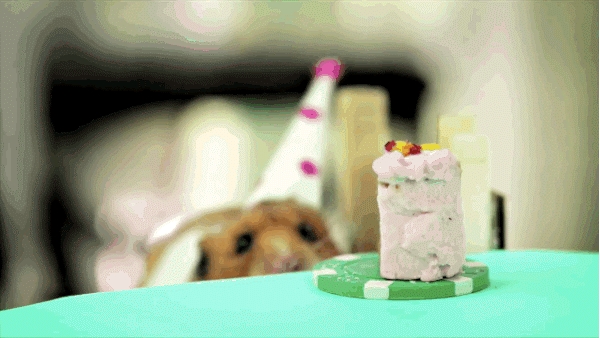 unnamed.gif