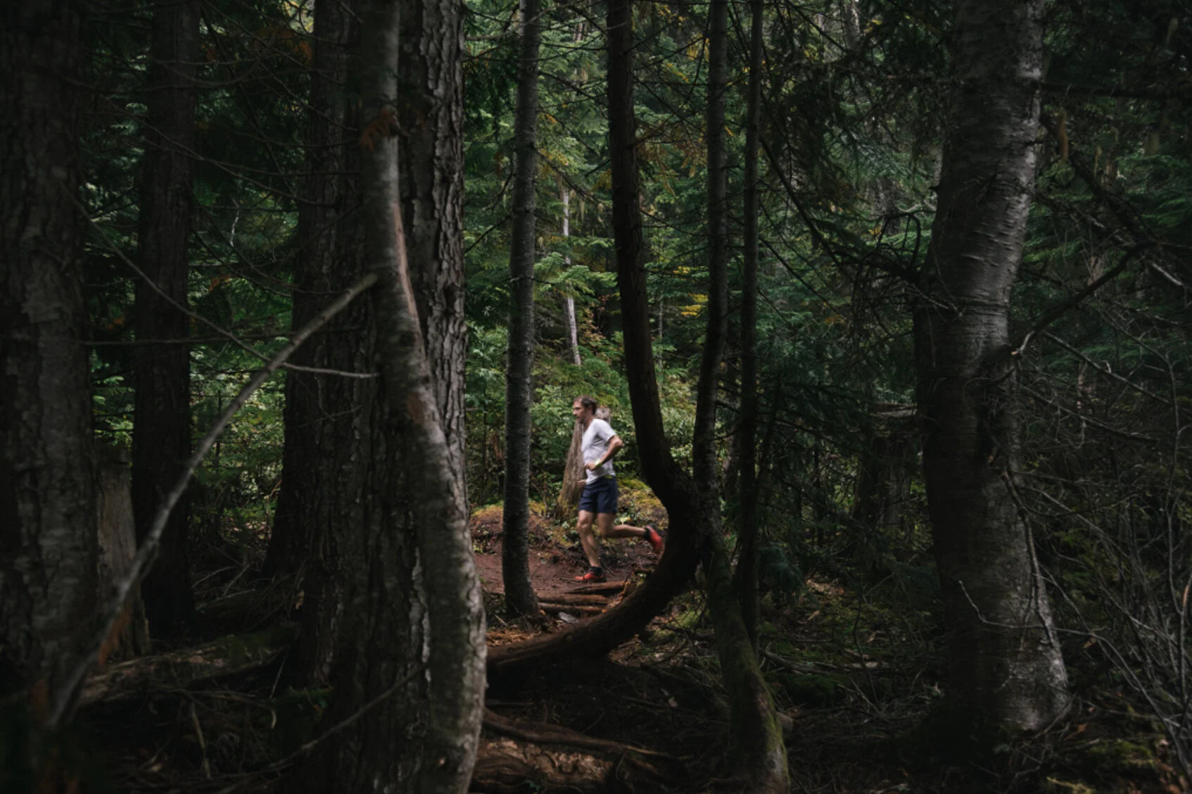 Screen Shot 2016-04-05 at 4.01.32 PM.jpeg