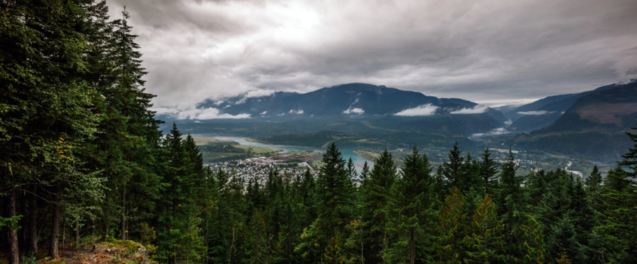 Screen Shot 2016-04-05 at 4.03.44 PM.jpeg