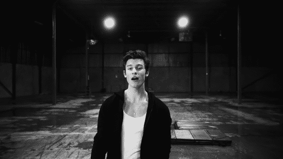 SHAWN MENDES