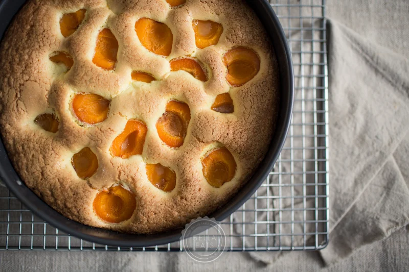 lemon olive oil cake with apricots and rosemary