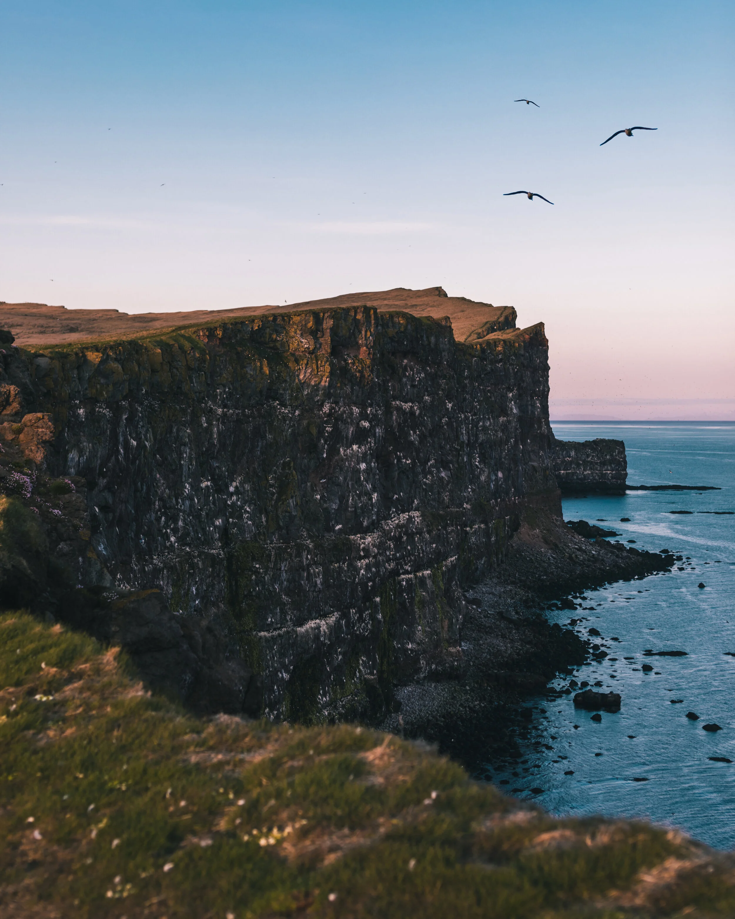 Latrabjarg, Iceland