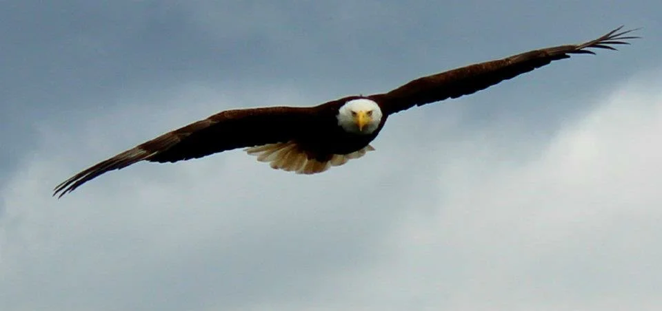 IMG_0188.jpg