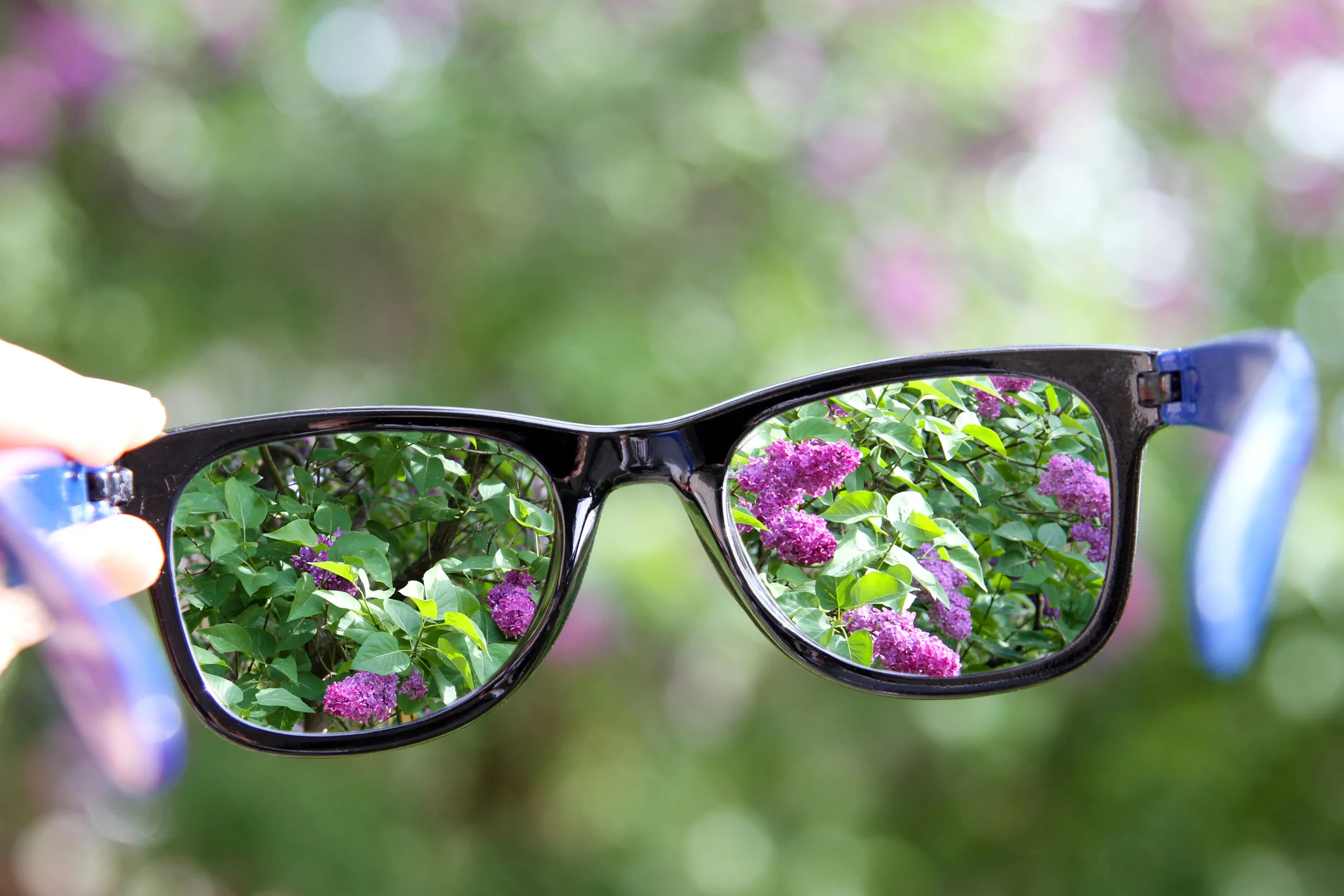 Photo by ronstik/iStock / Getty Images