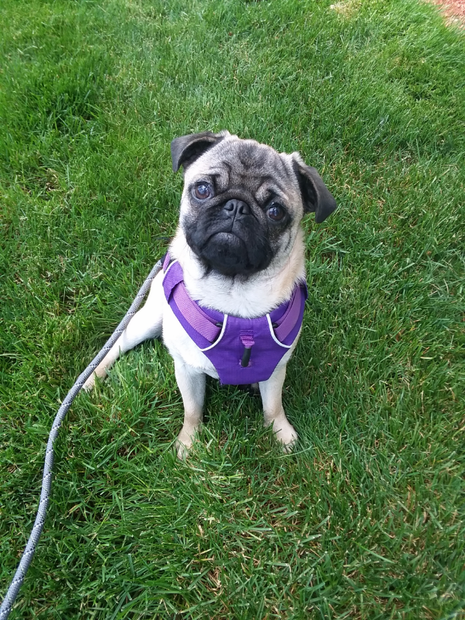 photo_707eb147b6.png