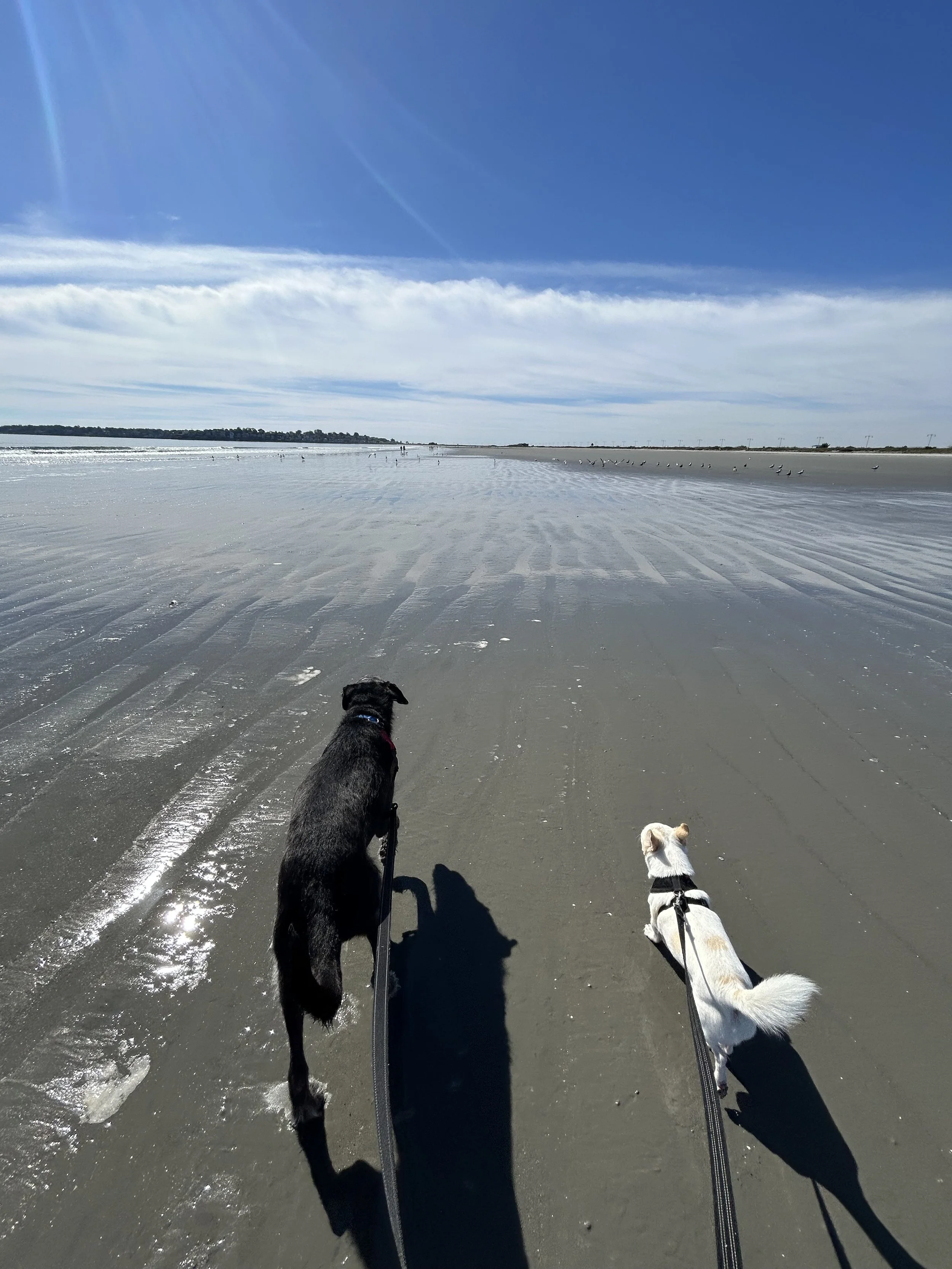 IMG_2892 2.jpeg