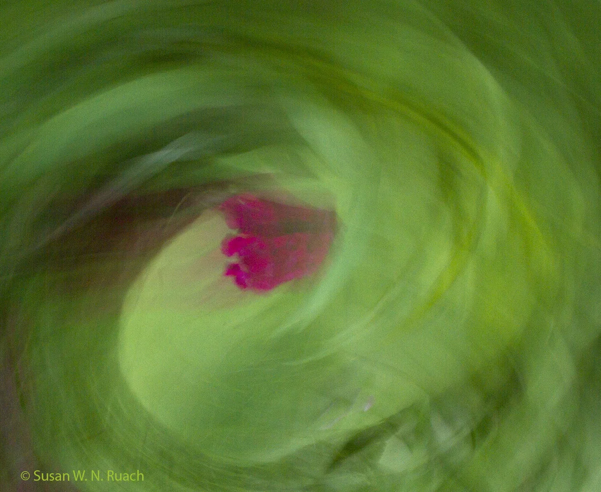 round the circle1100x640crop.jpg
