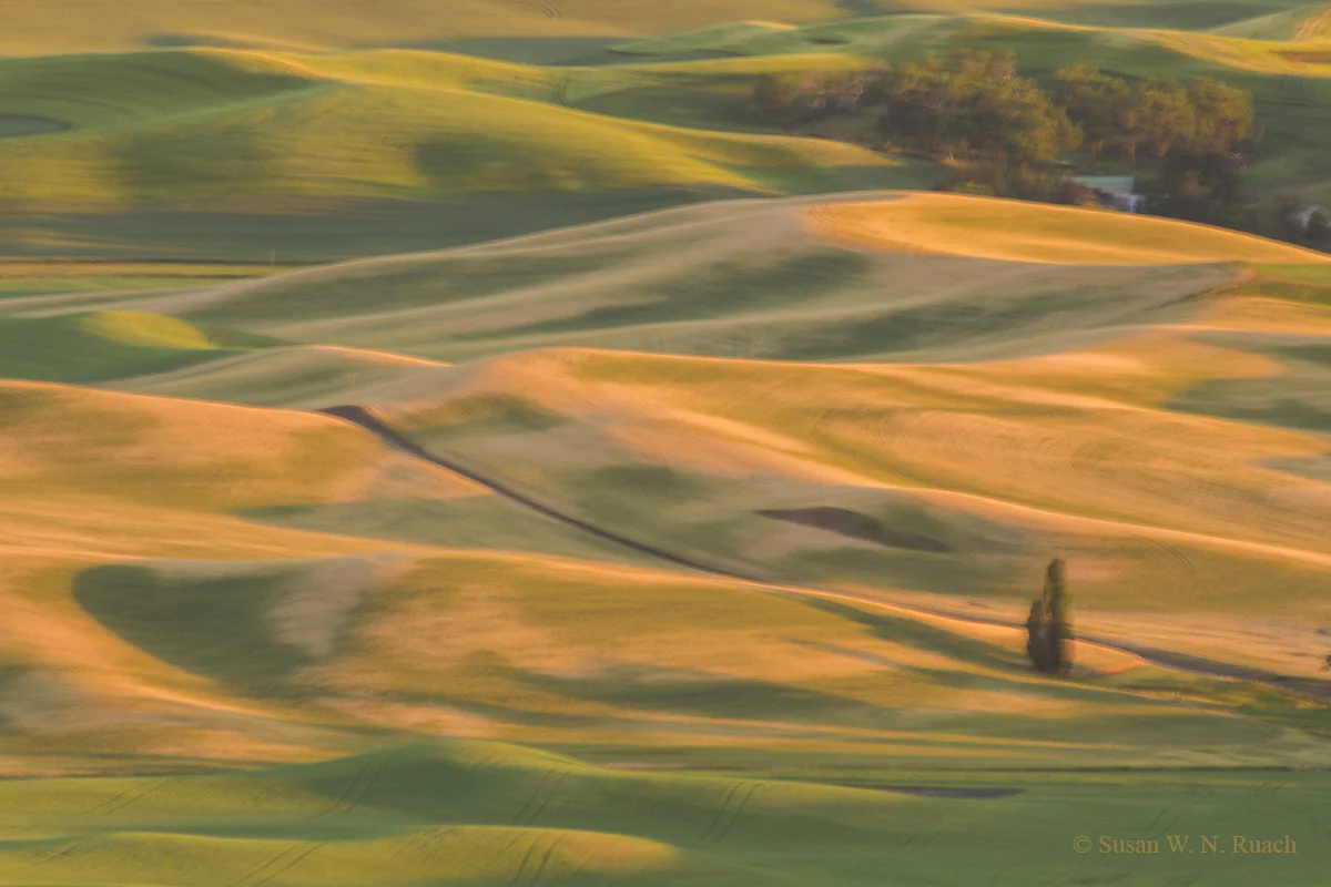 Being Spun into Gold