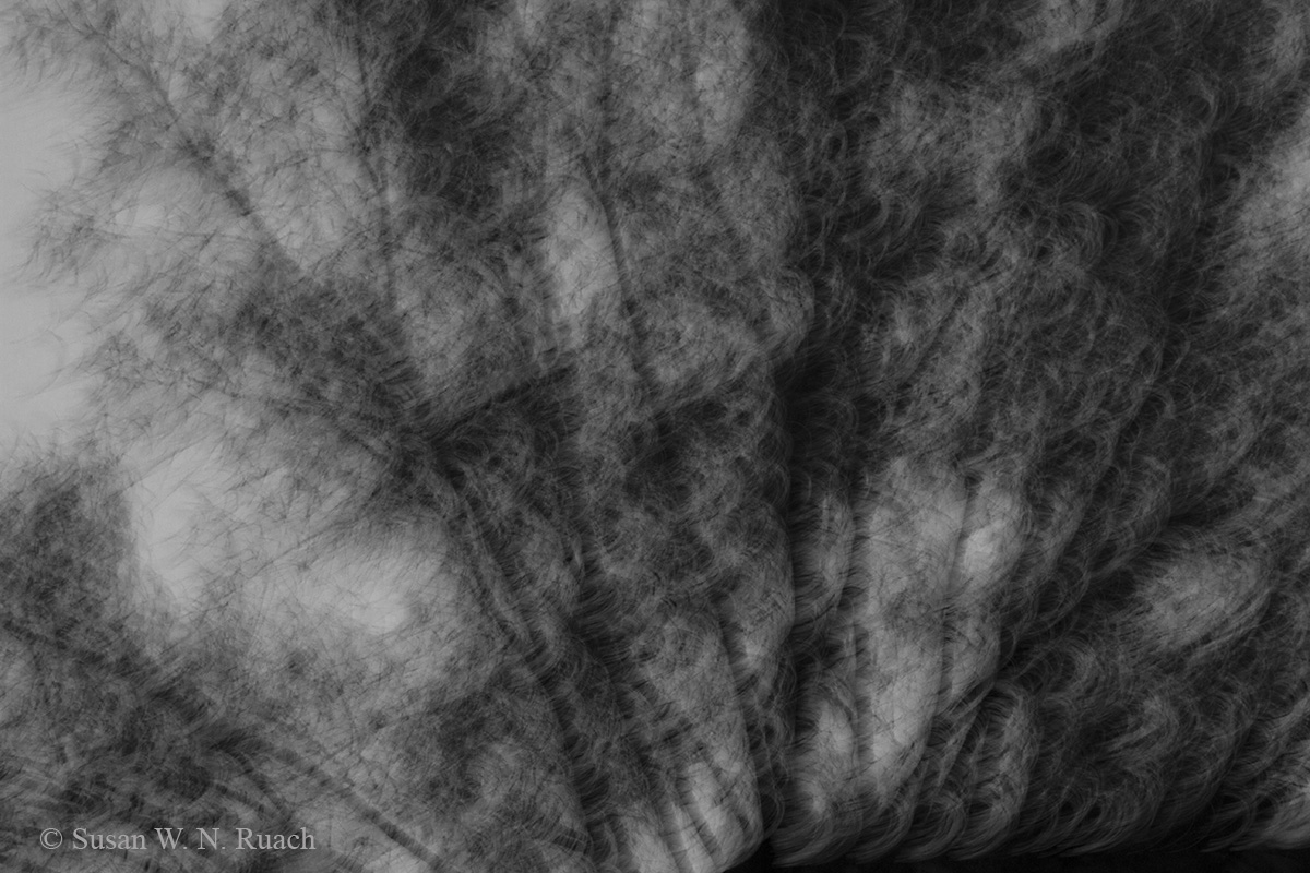 As the Dusk Settles. . .