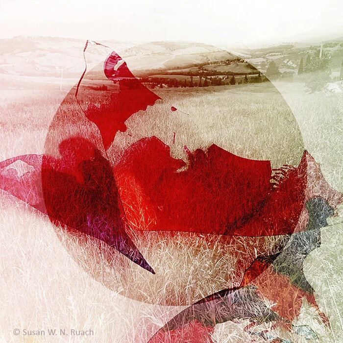 Seeing Beyond Brokenness 