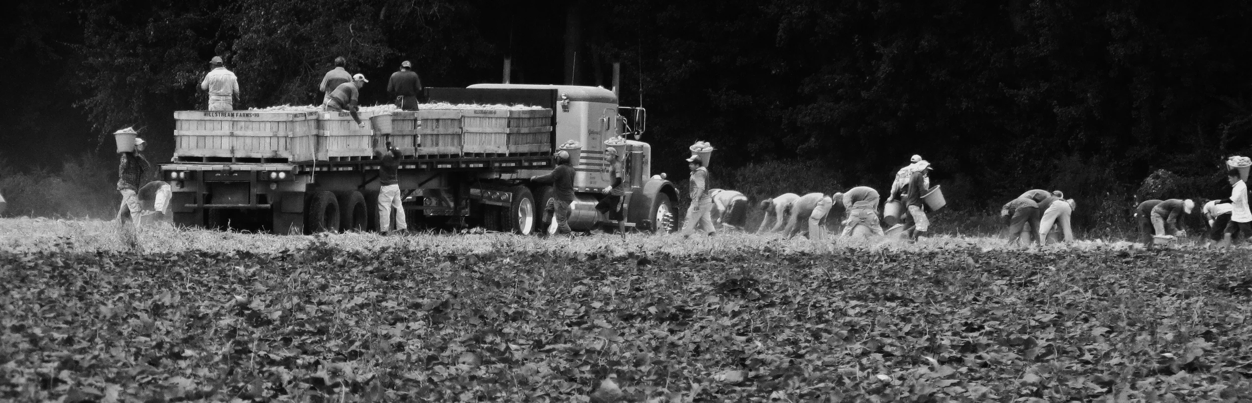 Migrant Farm Laborers (6) by Gerry Dincher is licensed under CC BY 2.0.