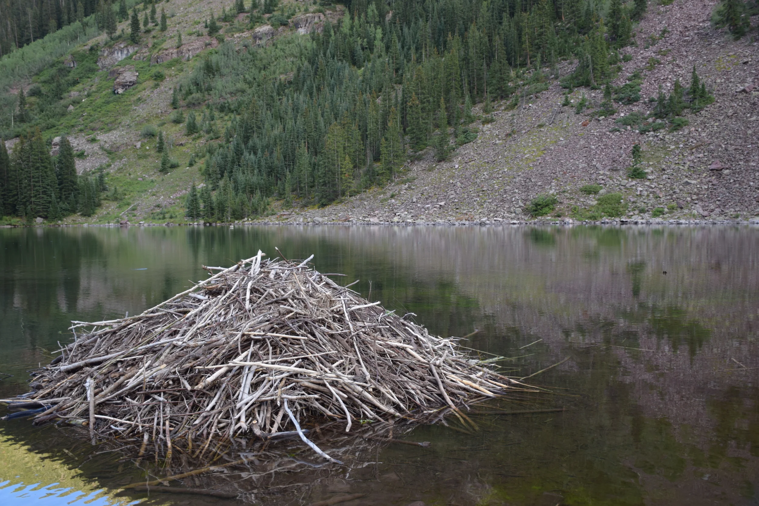 DSC_0186.JPG