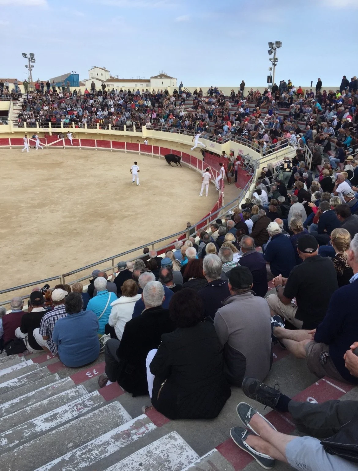 Screenshot 2025-11-23 at 12.08.08 PM.jpeg