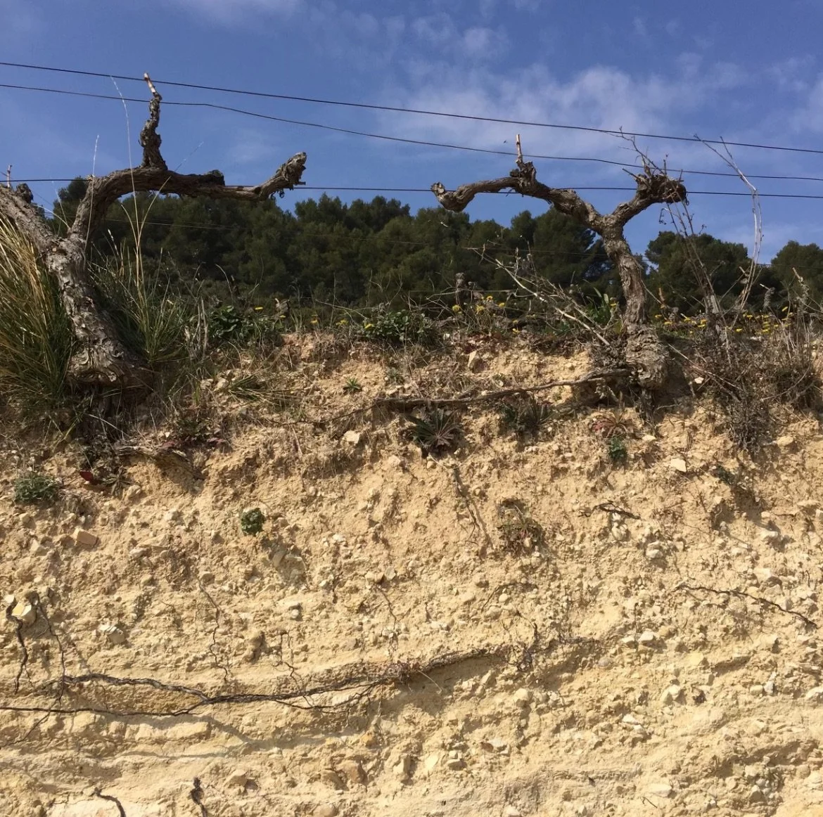 Screenshot 2026-03-21 at 2.14.35 PM.jpeg