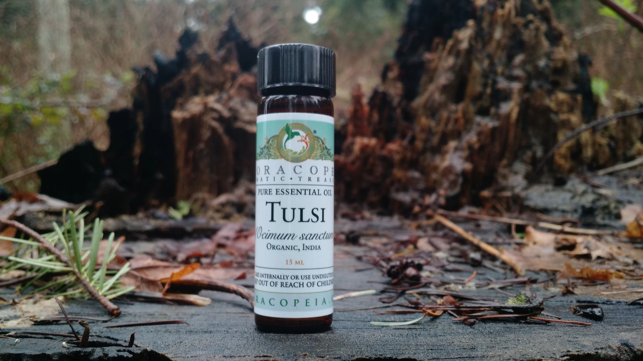 Tulsi.jpg