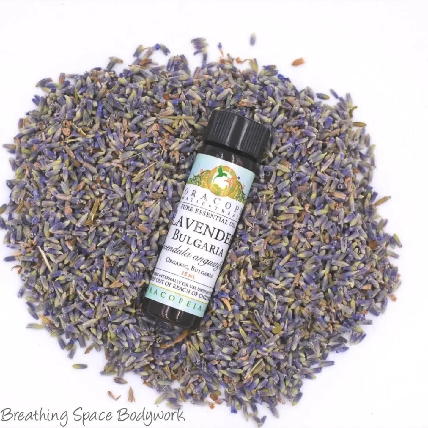 Aromatherapy isn&rsquo;t just about pleasant scents&mdash;it&rsquo;s a powerful tool that can deepen your bodywork experience. When used with intention, essential oils can support the nervous system, calm the mind, and help the body settle more fully