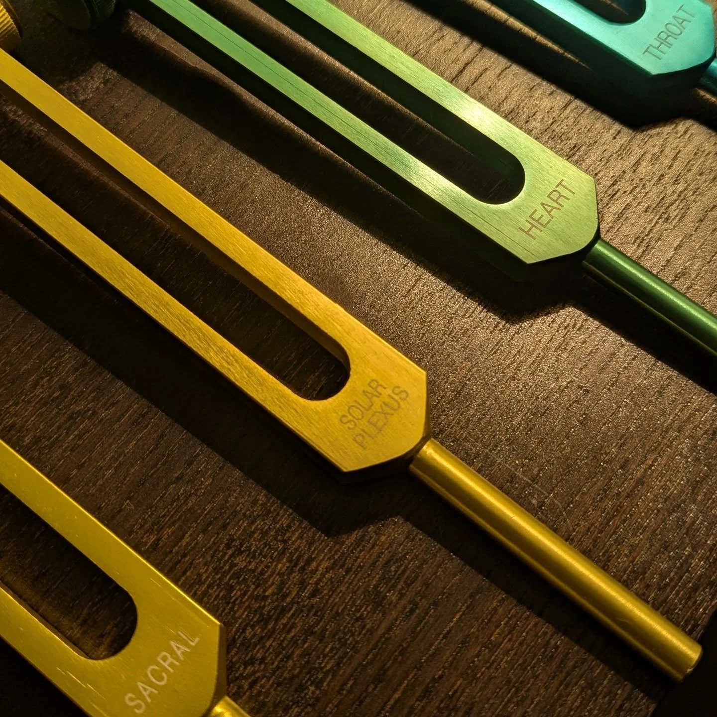 Tuning Forks in Sound Healing

Tuning forks are a powerful addition to a sound healing practice. These tools emit precise frequencies that target specific areas of the body or energy field. In bodywork sessions, tuning forks are often used directly o