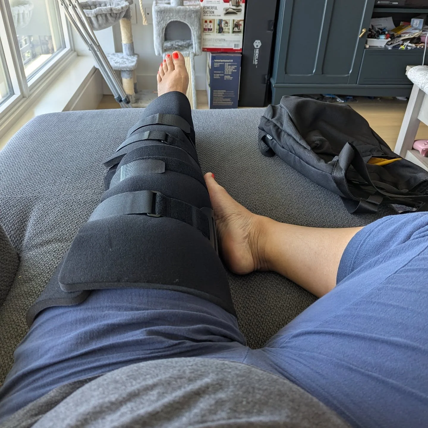 This is the sitch for the next bit. Rest and recovery. 

I am ok. My knee decided to snap, crackle, pop on my bikeride to work this morning. 

Bones: great.
Meniscus: maybe not.
Tendons &amp; ligaments: to be determined. 

Resting with a stabilizer f
