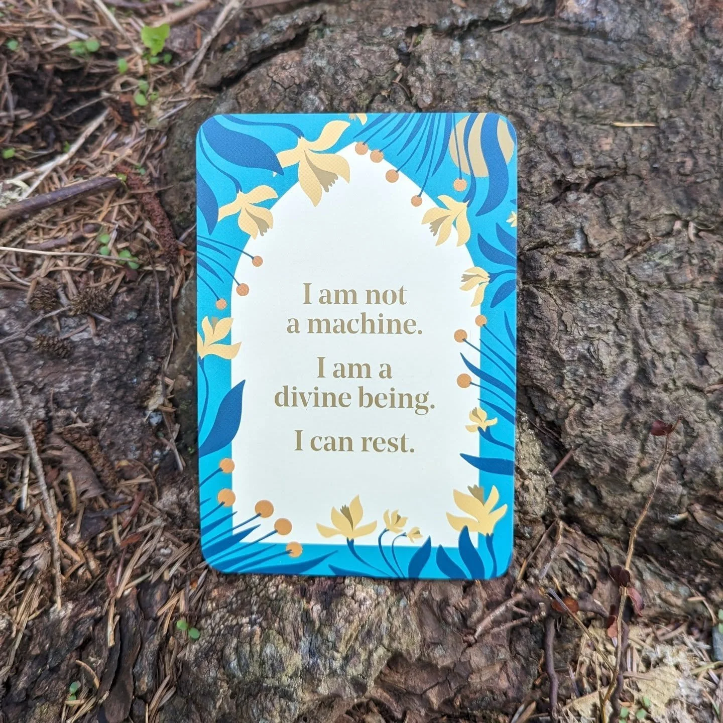 &quot;I am not a machine. I am a divine being. I can rest.&quot;

The Rest Deck

#equinox #fall #autumn #RelaxBreatheLetGo #restisresistance #restdeck #bodyworktherapy #selfcare #wellness #pause