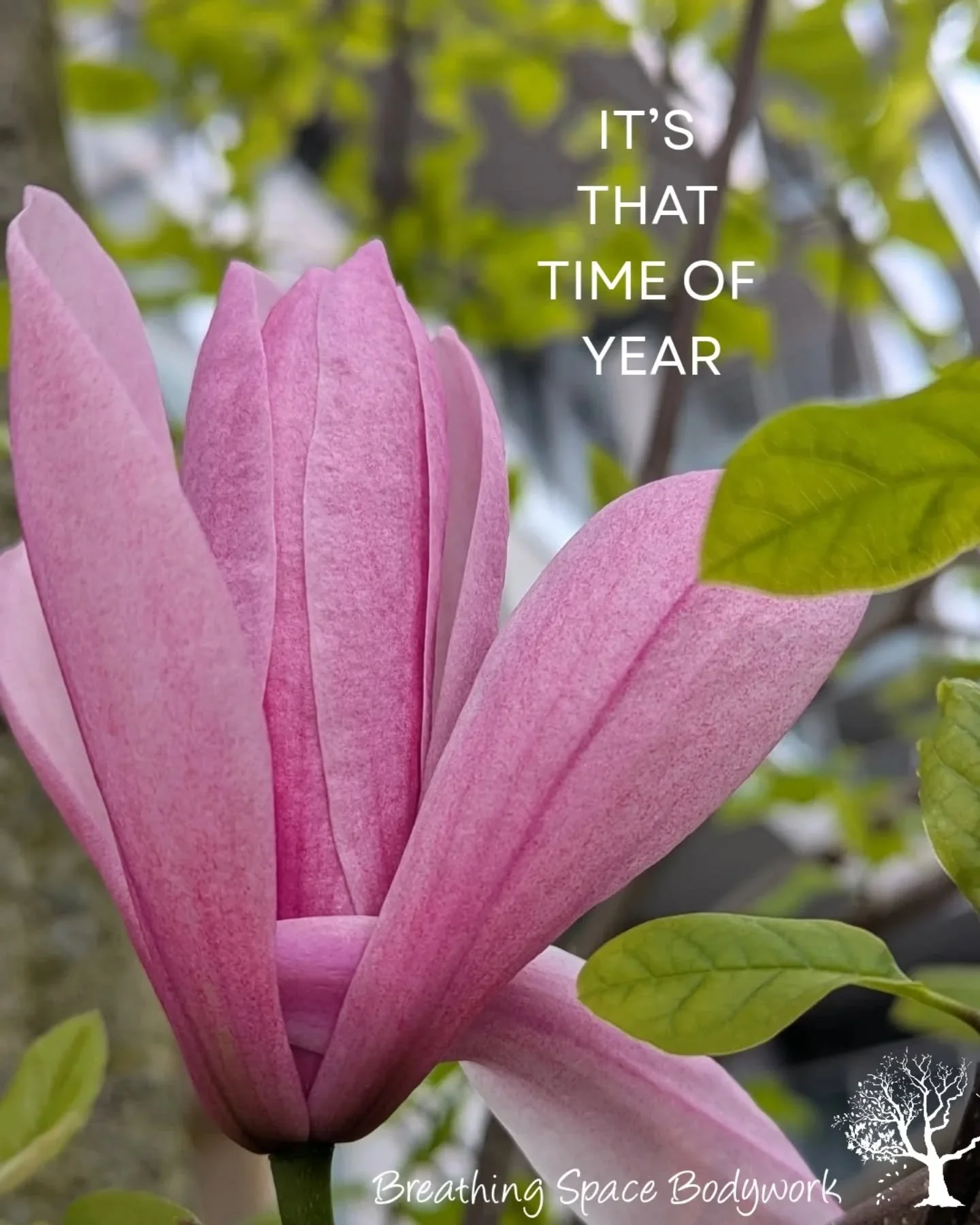 It's that time of year. 
Breathing Space Bodywork's Annual Sale! 

Throughout the month of May, SAVE $40 on RELAX, BREATHE, and LET GO sessions and packages!

Book online:  breathingspacebodywork.ca/book-online

🎟️Use code: 
ANNIVERSARY for individu