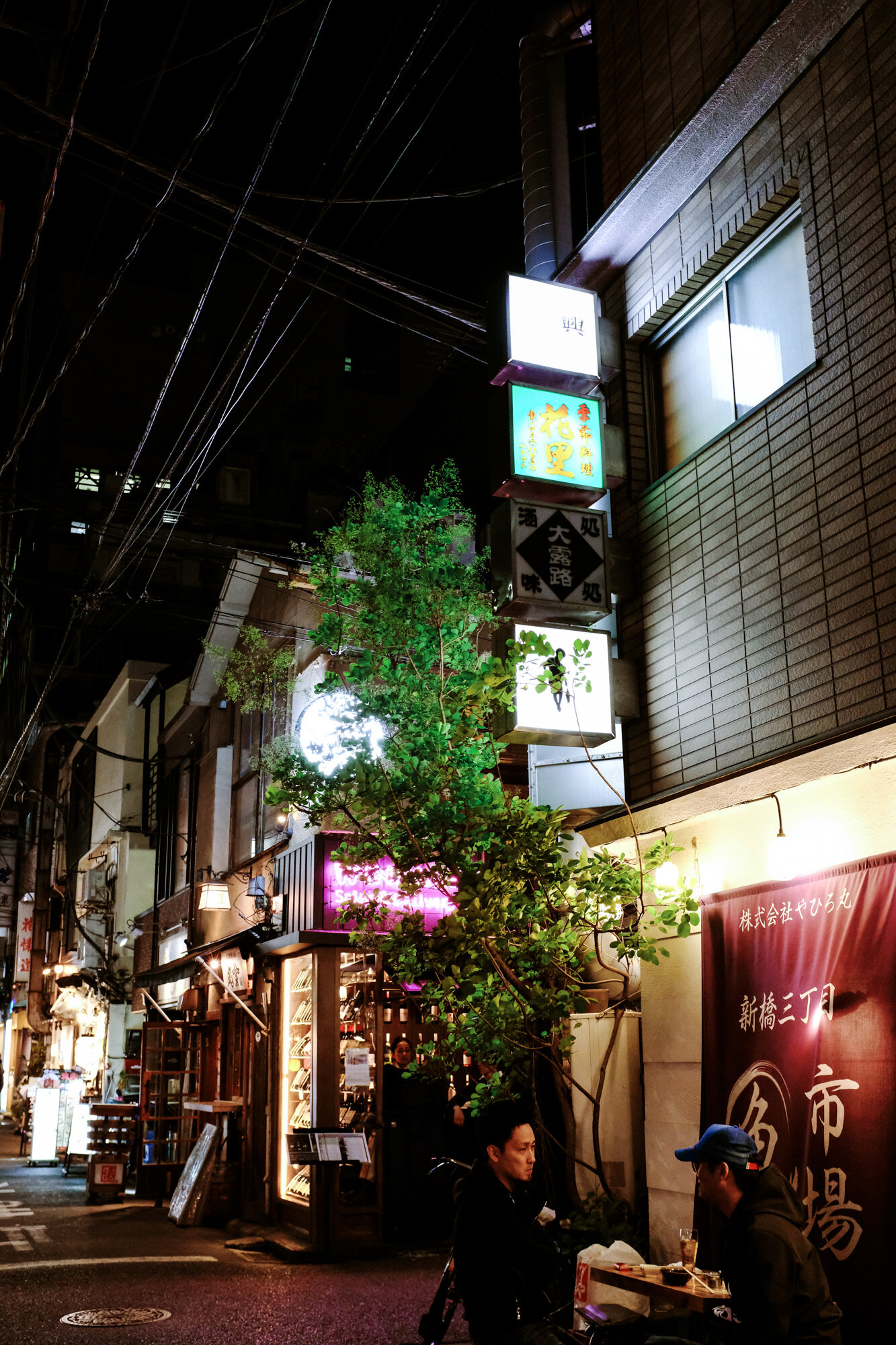 Tokyo2019-HaleyMcLainPhotography-9215.JPG