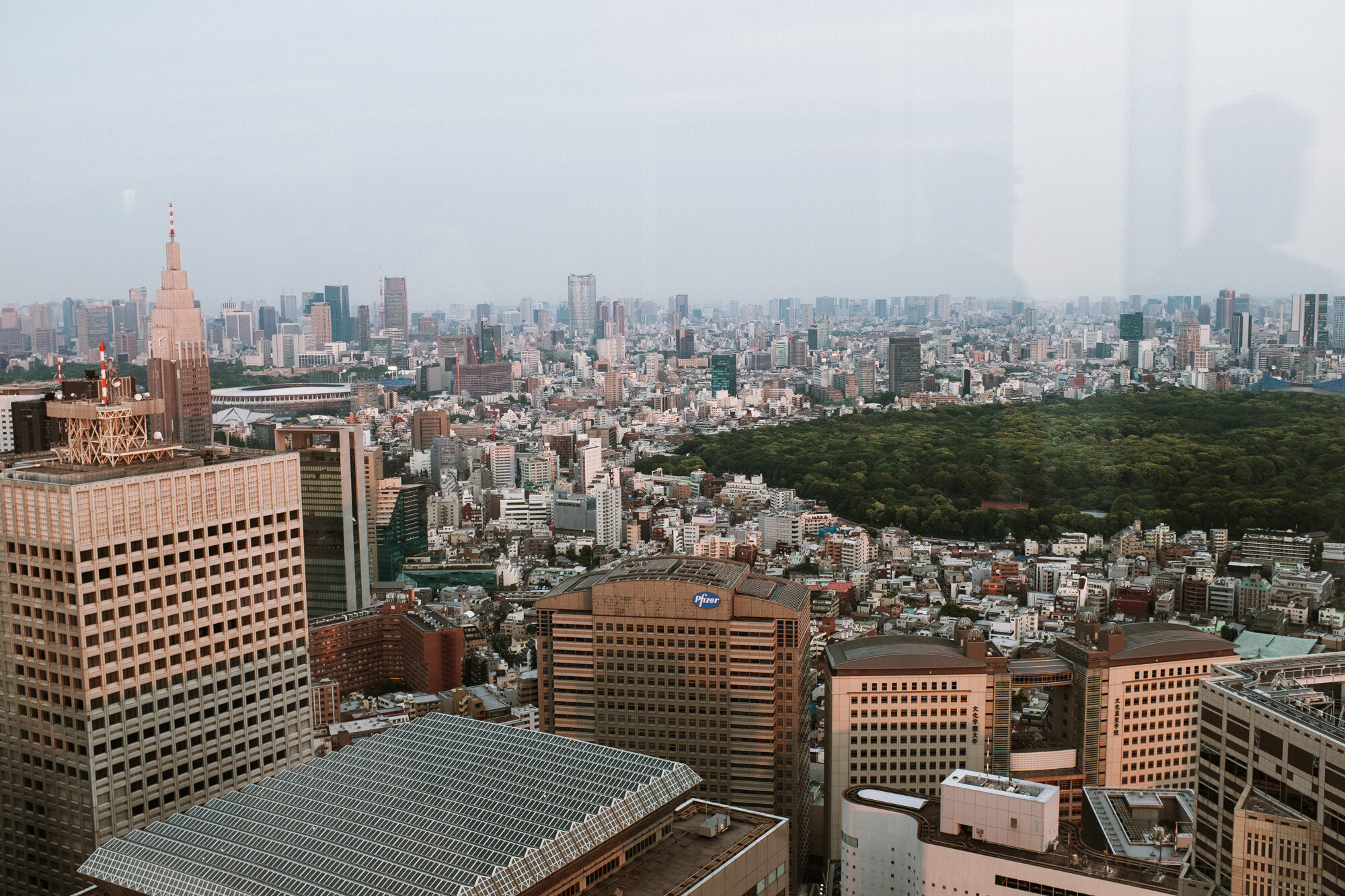 Tokyo2019-HaleyMcLainPhotography-9623.JPG