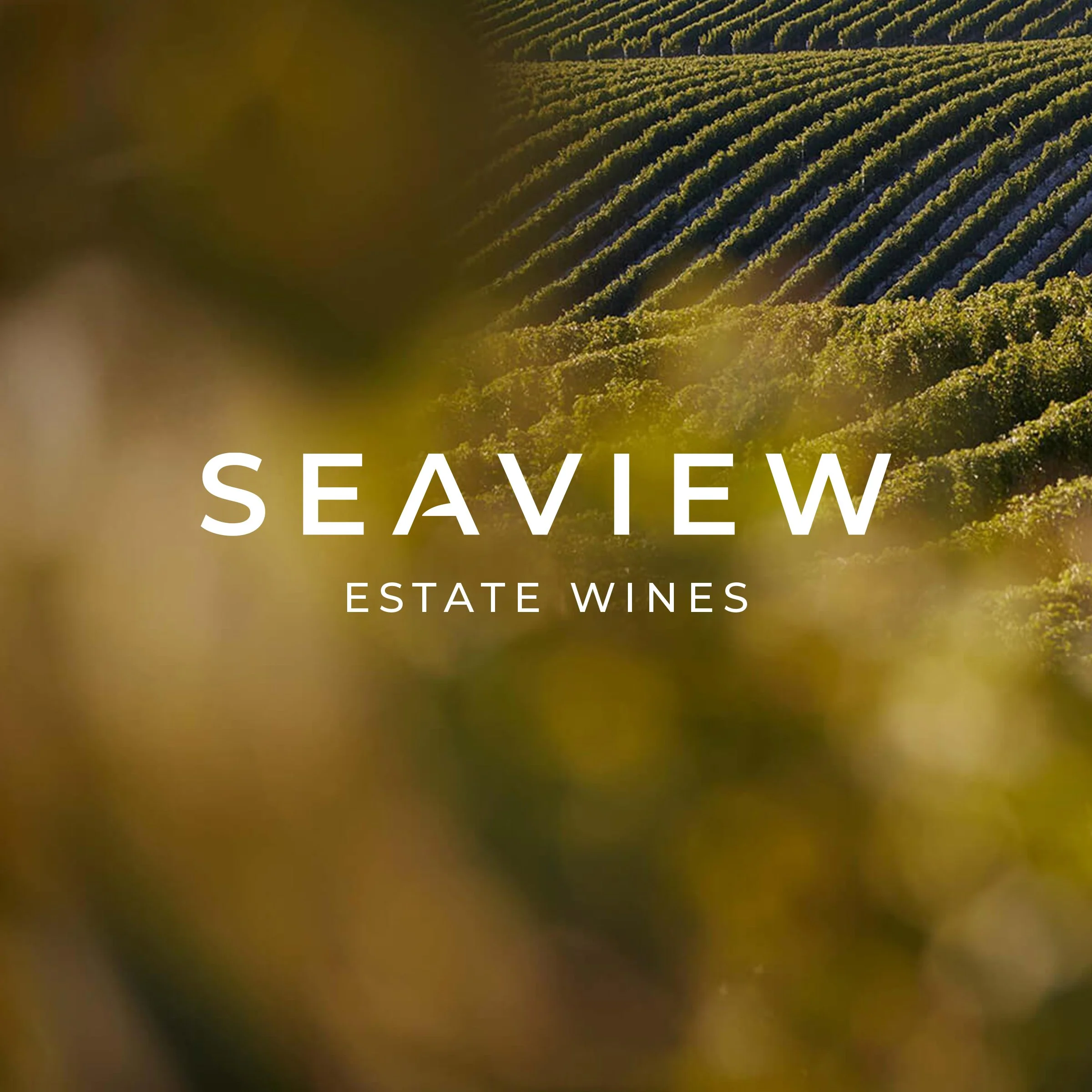 Seaview Estate Wines - Branding Solution