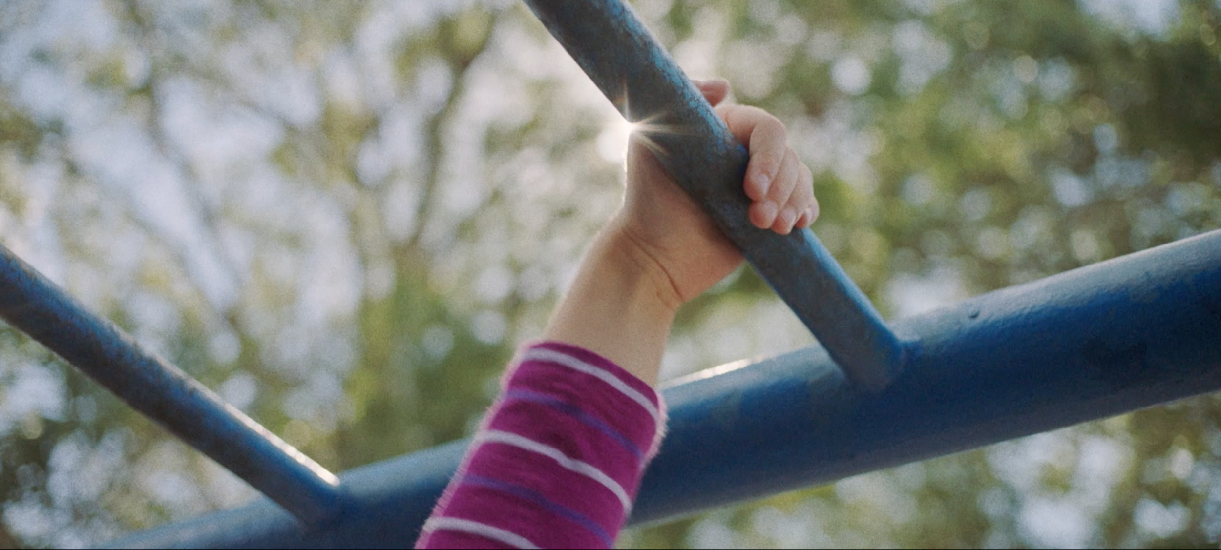 Screen Shot 2018-02-13 at 11.57.26 AM.png