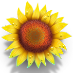 Sunflower_Normal.png