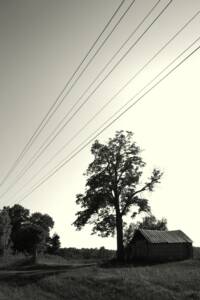 "Artificial Light"